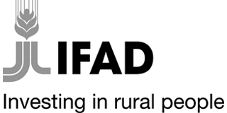 IFAD